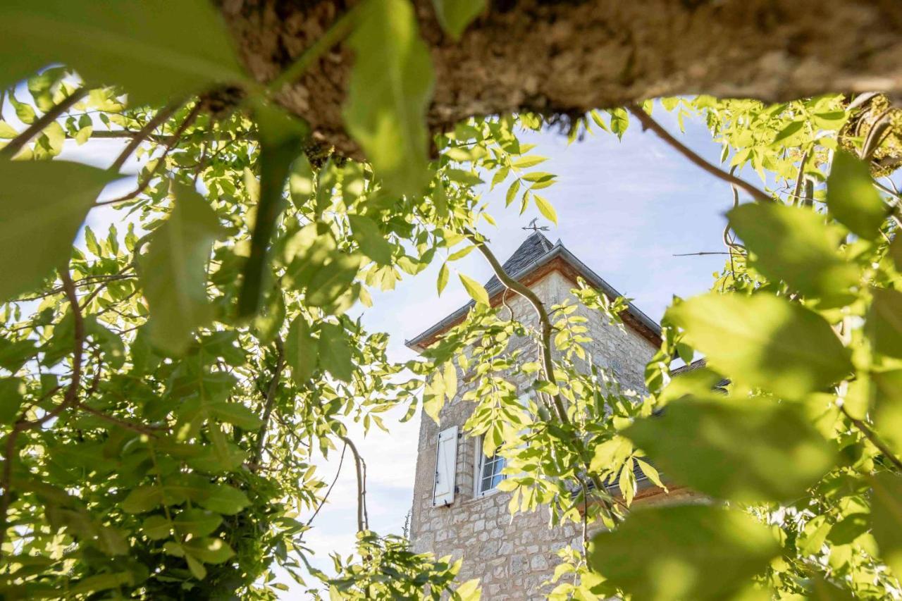 Bed and Breakfast Domaine La Garenne Reilhaguet Экстерьер фото